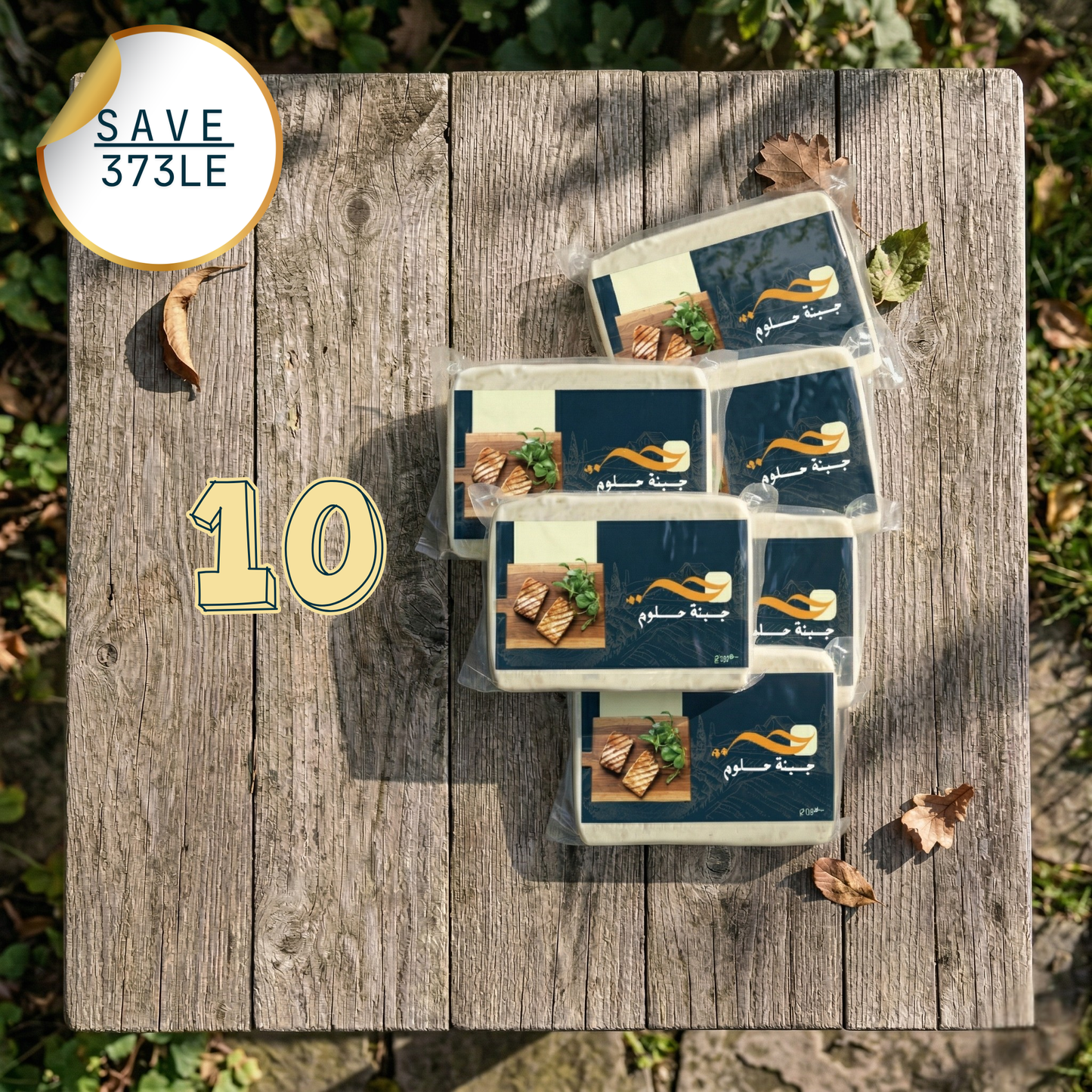 Bundle 10