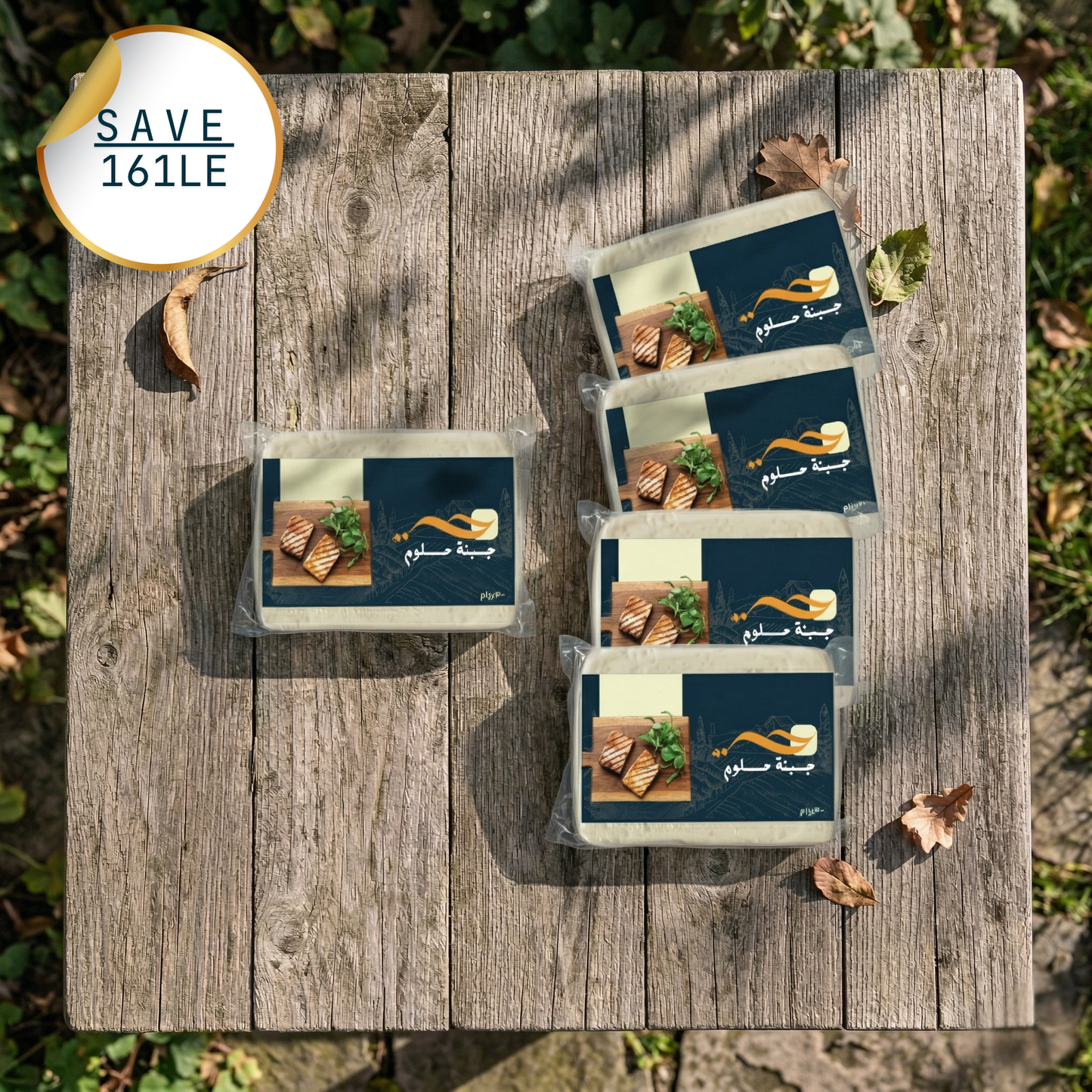 Bundle 2