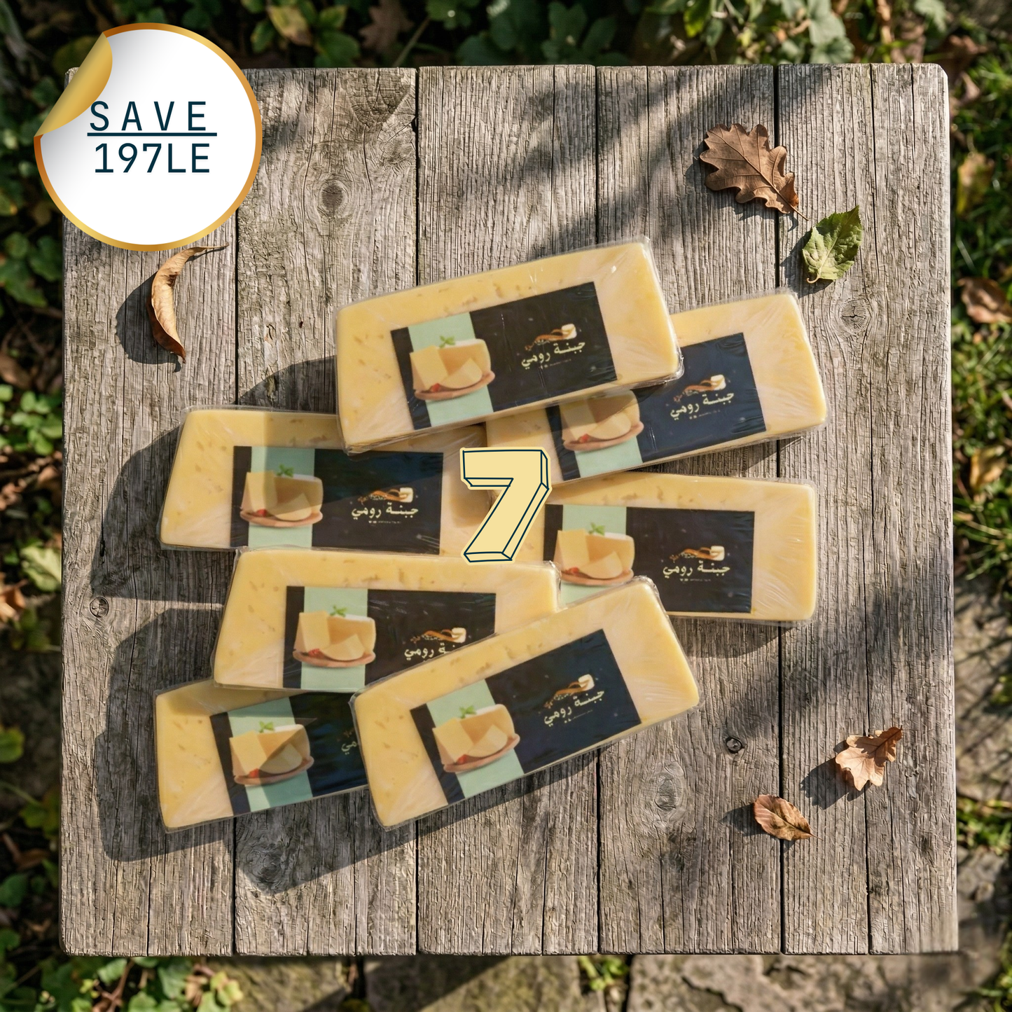 Bundle 9