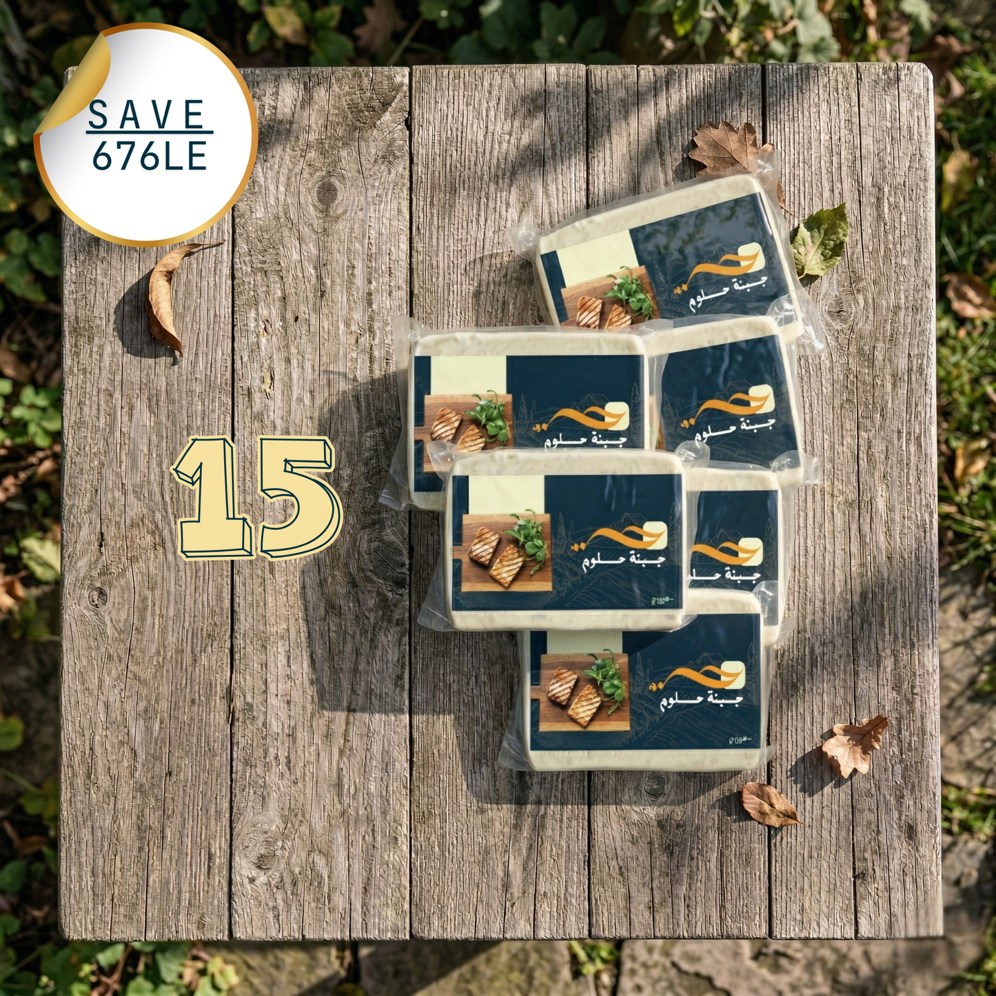 Bundle 13