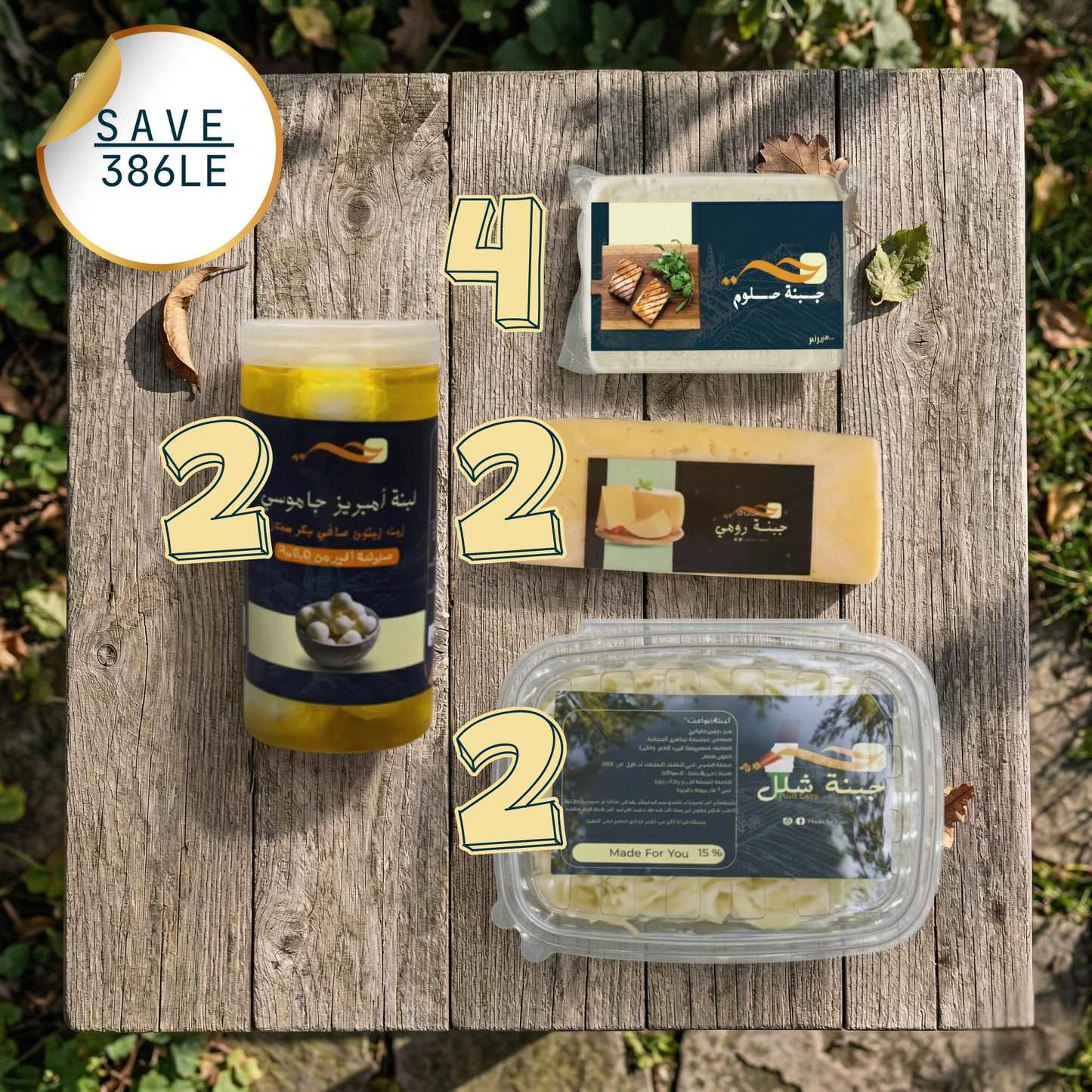 Bundle 11