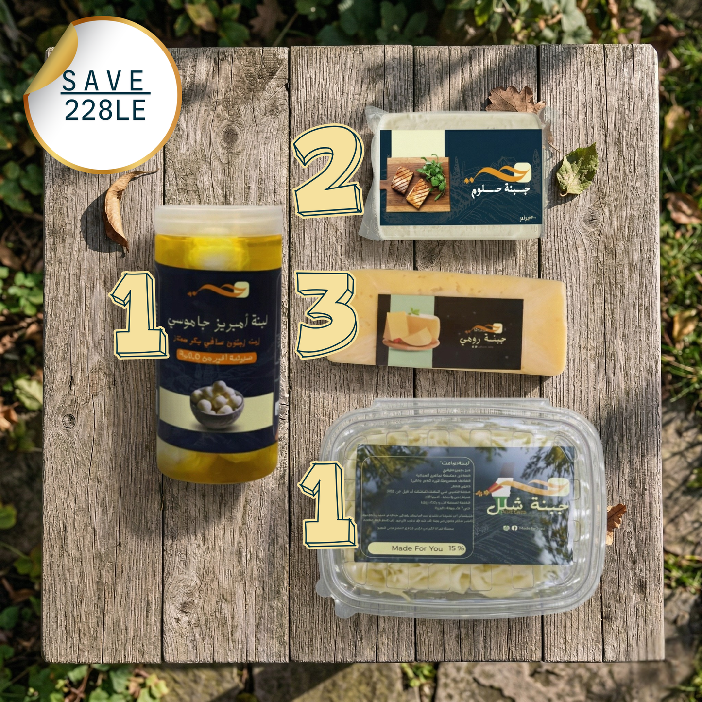 Bundle 8